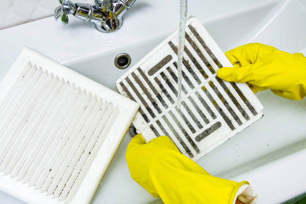 Best Air Vent Cleaning Services  in Bisbee, AZ